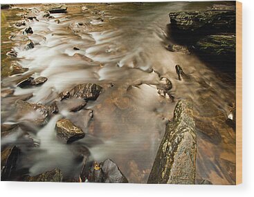 Pisgah National Forest Wood Prints