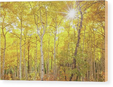 Crested Butte Wood Prints