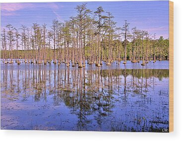 Goodale State Park Wood Prints