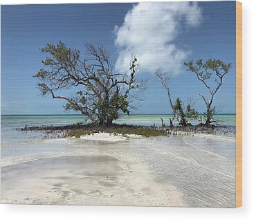 Florida Beach Wood Prints