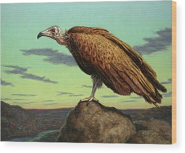 Vulture Wood Prints