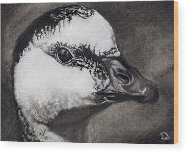 Designs Similar to Barnacle Goose by Leon Willis