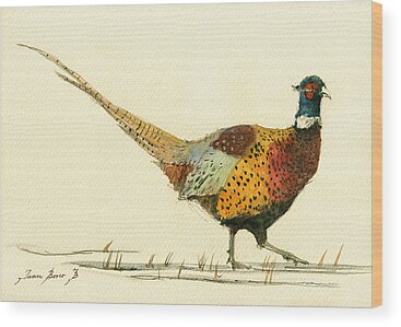 Pheasant Wood Prints