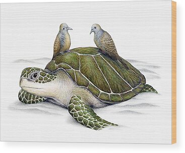 Turtle Dove Wood Prints