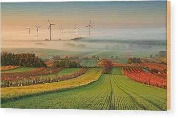 Wind Energy Wood Prints