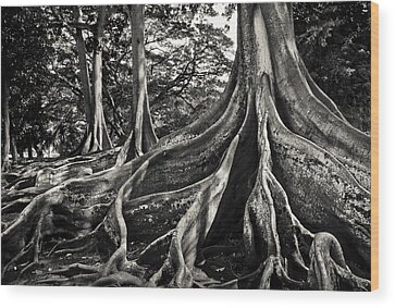 Allerton Park Wood Prints
