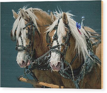 Belgian Draft Horse Wood Prints