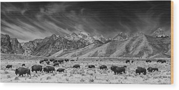 National Bison Range Wood Prints