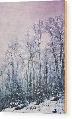 Blue Spruce Pine Tree Wood Prints