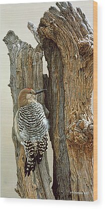 Gila Woodpecker Wood Prints