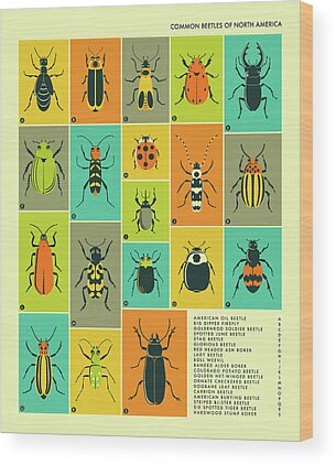 Blue Beetle Wood Prints