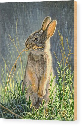 Rabbit Wood Prints
