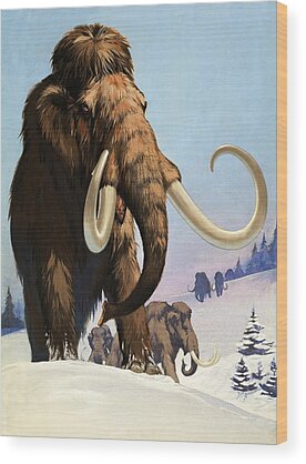 Mammoths Wood Prints