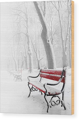 Park Benches Wood Prints