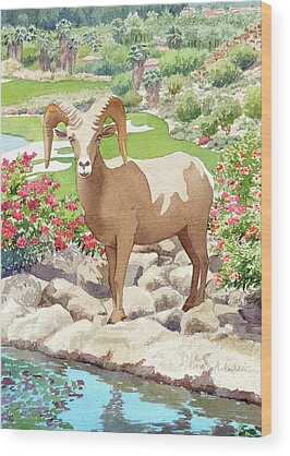 Desert Bighorn Sheep Wood Prints