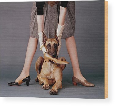 Black Great Dane Wood Prints