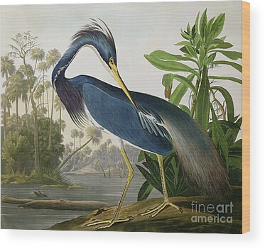 Heron Wood Prints
