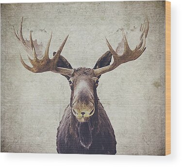 Moose Wood Prints