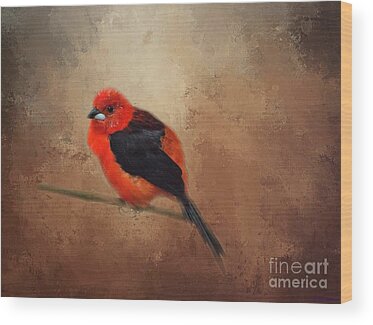 Tanager Wood Prints