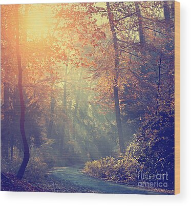 Designs Similar to Vintage Photo Of Autumn Forest