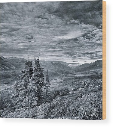 Monochrome Landscapes Wood Prints