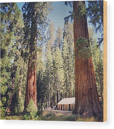 Yosemite Lodge Wood Prints