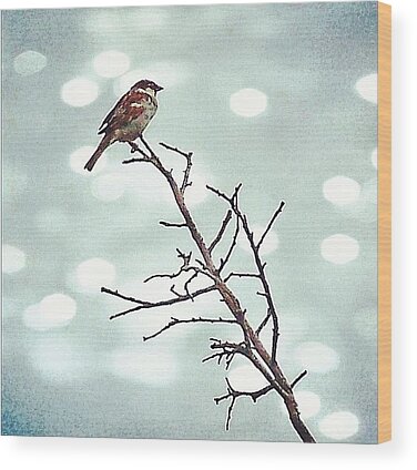 Pretty Bird Wood Prints