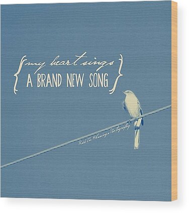 Song Bird Wood Prints