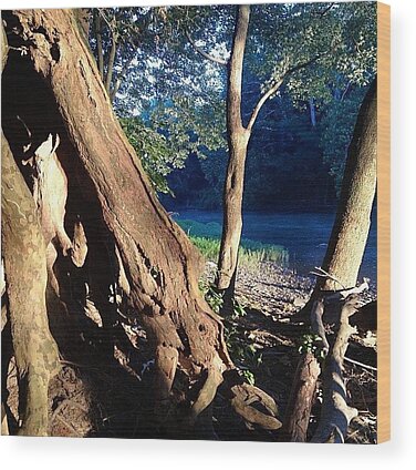 Whiteriver Wood Prints