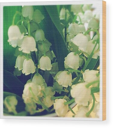 Lilies Of The Valley Wood Prints