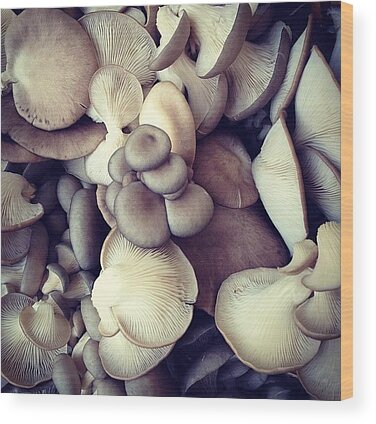 Oyster Mushroom Wood Prints