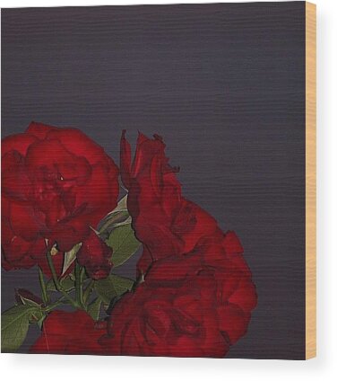 Designs Similar to Red Rose In The Dark Sky