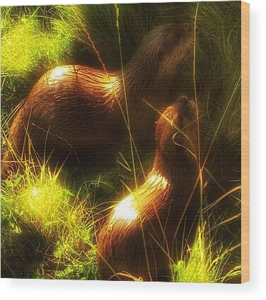 Otters Wood Prints