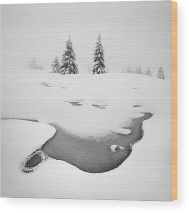 Frozen North Wood Prints