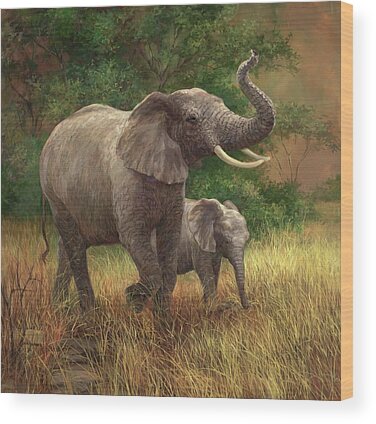 Safari Club Wood Prints