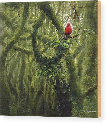 Vermilion Flycatcher Wood Prints