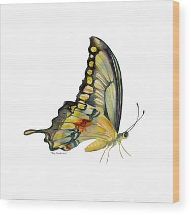 Swallowtail Wood Prints