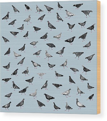 Pigeon Wood Prints