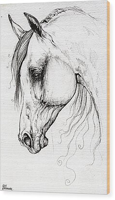 Arabian Horse Drawing 45 Drawing by Angel Tarantella