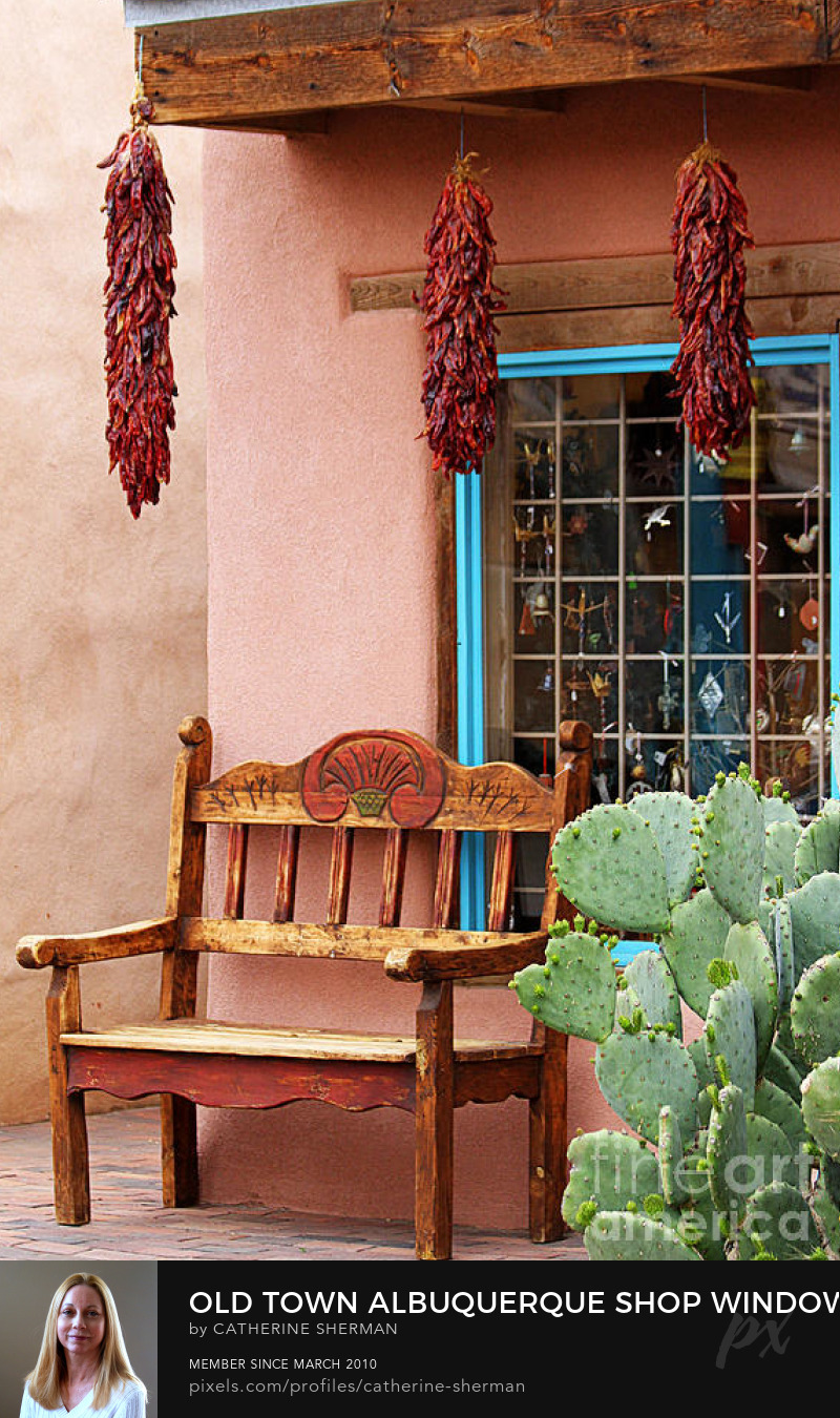 Old Town Albuquerque Shop Window by Catherine Sherman