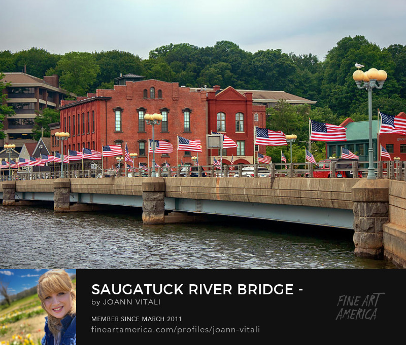 Saugatuck River Bridge Prints