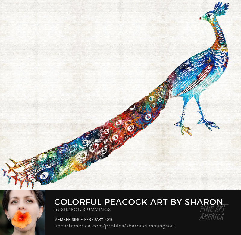 Colorful Peacock Bird Wall Art