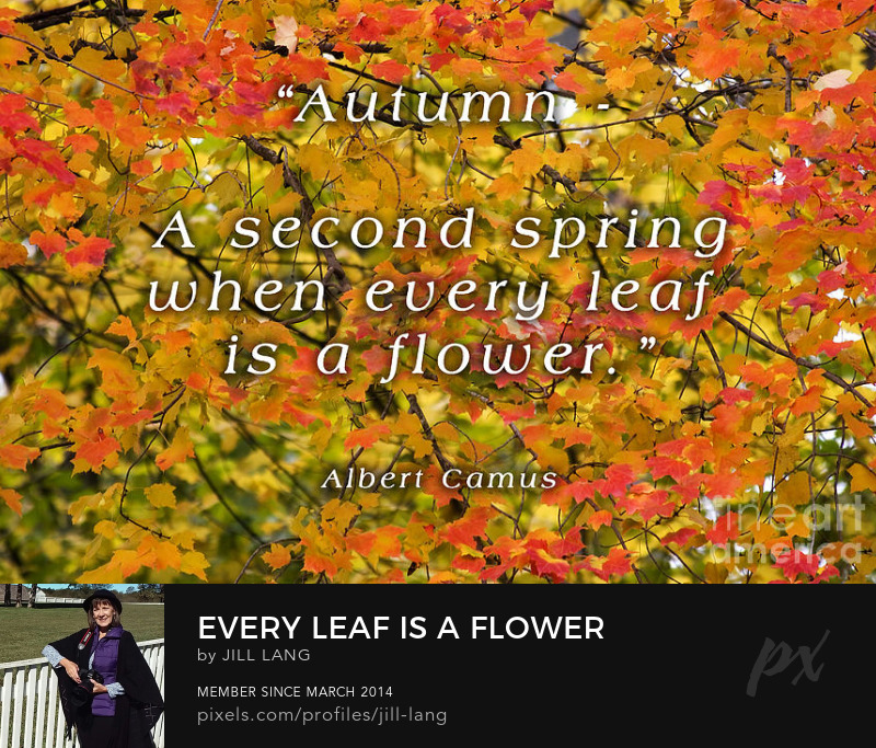 Albert Camus Autumn, a second spring when every leaf is a flower