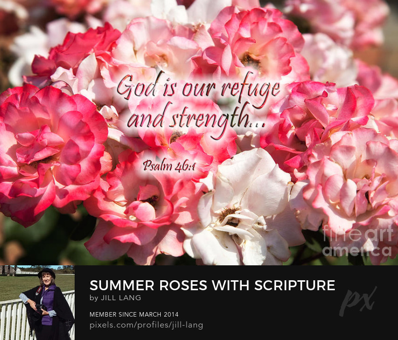 Scripture Pictures