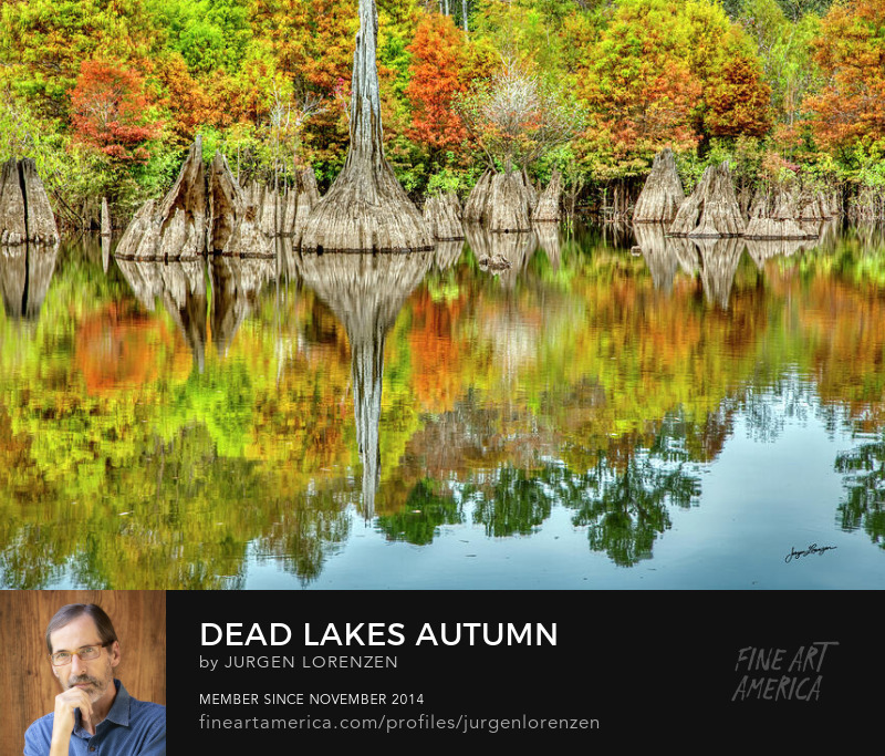 Dead Lakes autumn by Jurgen Lorenzen