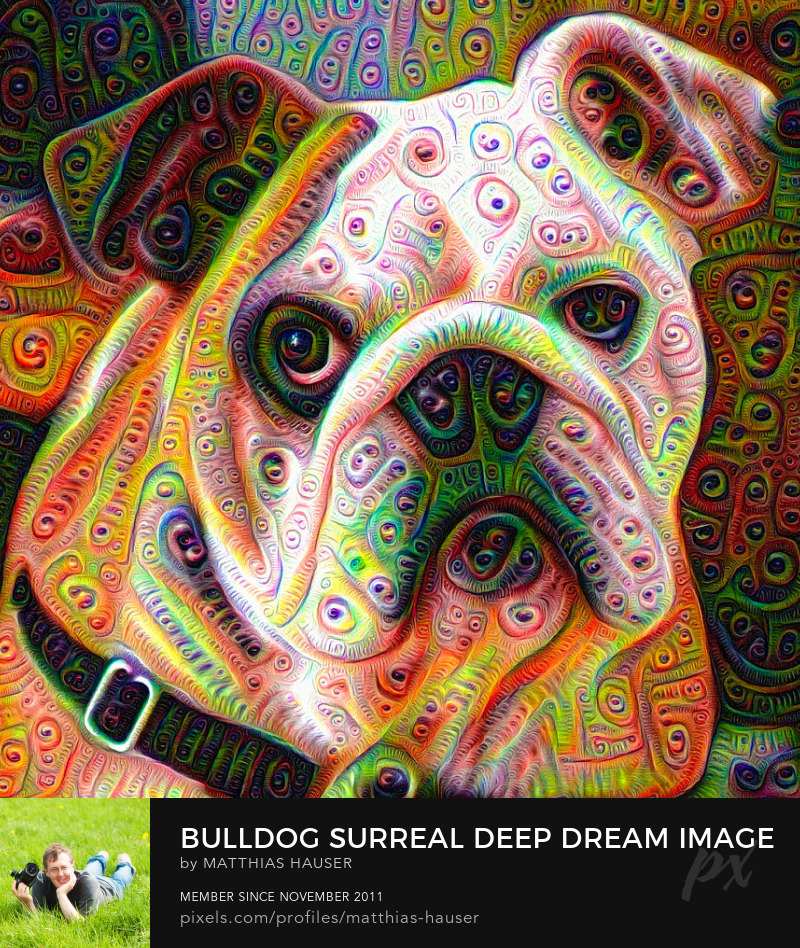 Deep Dream Dog Art Print