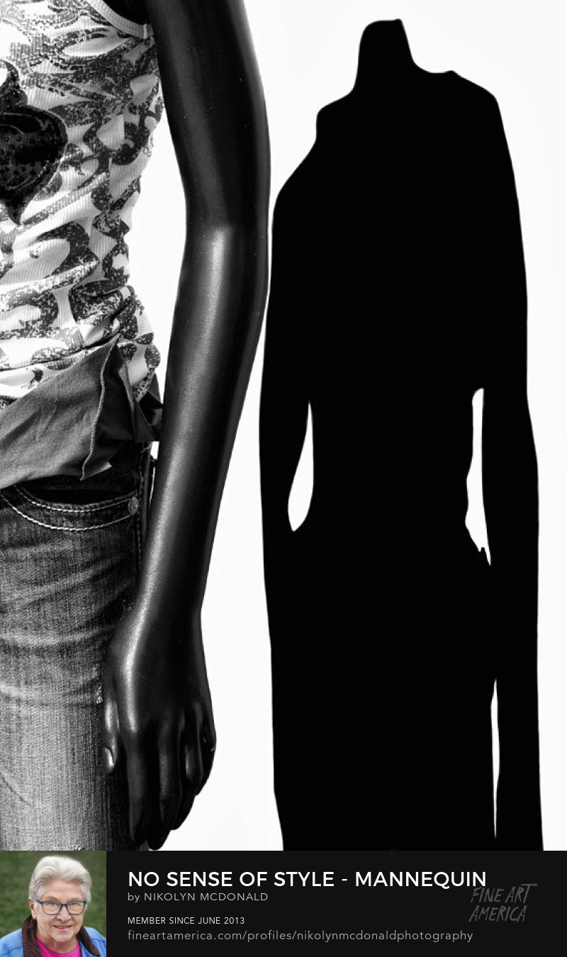 headless mannequin torso and thighs with shadow by nikolyn mcdonald