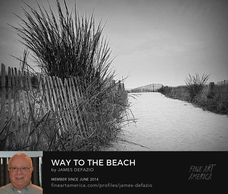 Way To The Beach