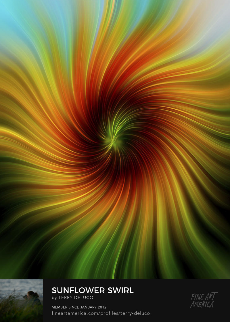 Terry DeLuco Sunflower Swirl Art