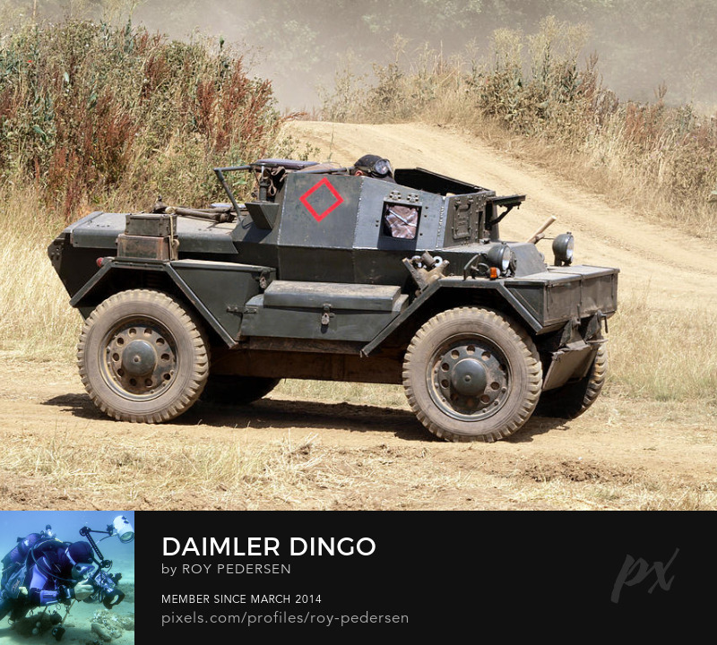 Daimler Dingo by Roy Pedersen military vehicle armour